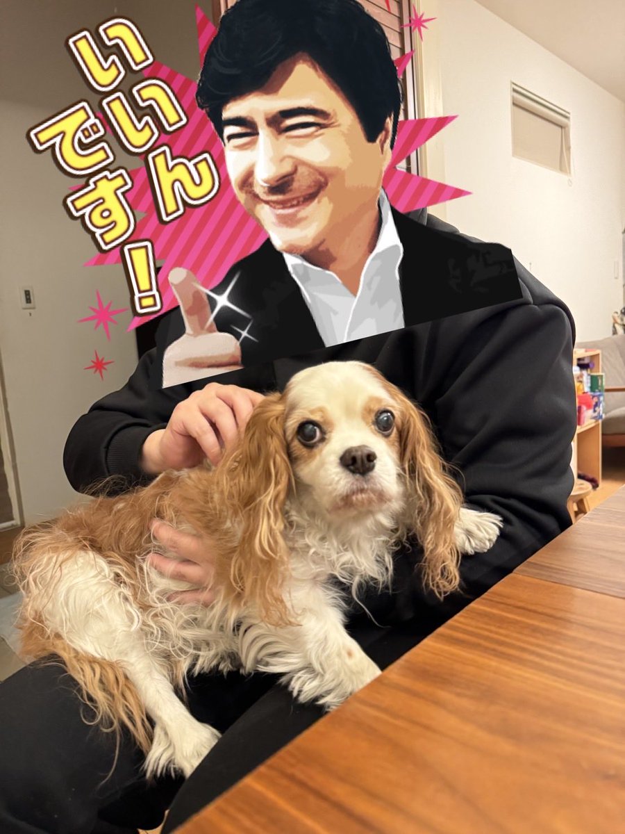 先日、高校時代から友人の松根監督の家に遊びに行ってきました。久しぶりに娘さんと愛犬の大吉にも会えてデレ顔になる中年。
学校で流行っているシールをスマホケースに貼ってくれたの可愛すぎる。
「大事なシール貰っていいの?」って聞いたら貼ってあげるのが好きなのって言ってくれて良い子過ぎる🥲 