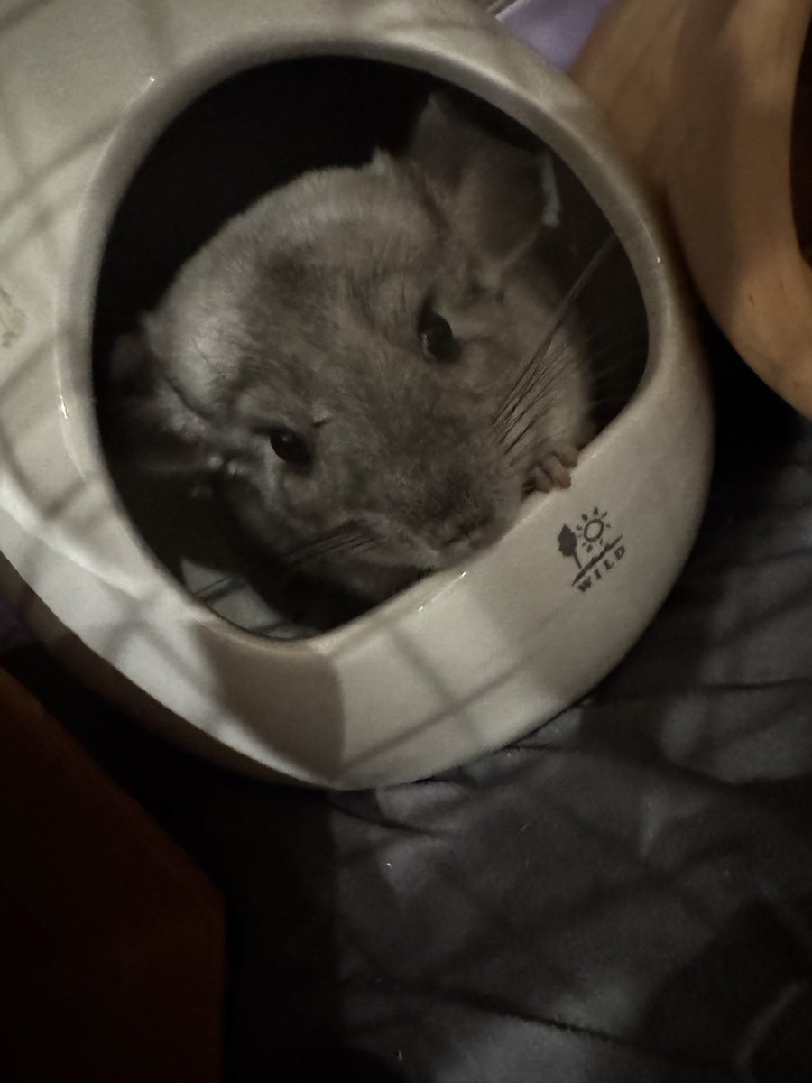 佐藤祐吾 tweet media