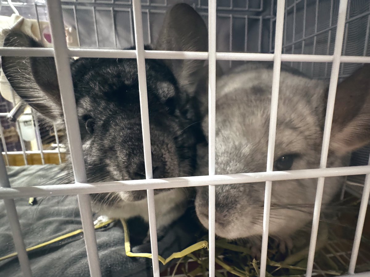 佐藤祐吾 tweet media