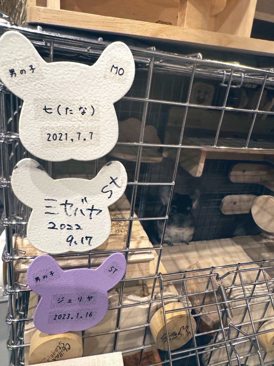 佐藤祐吾 tweet media