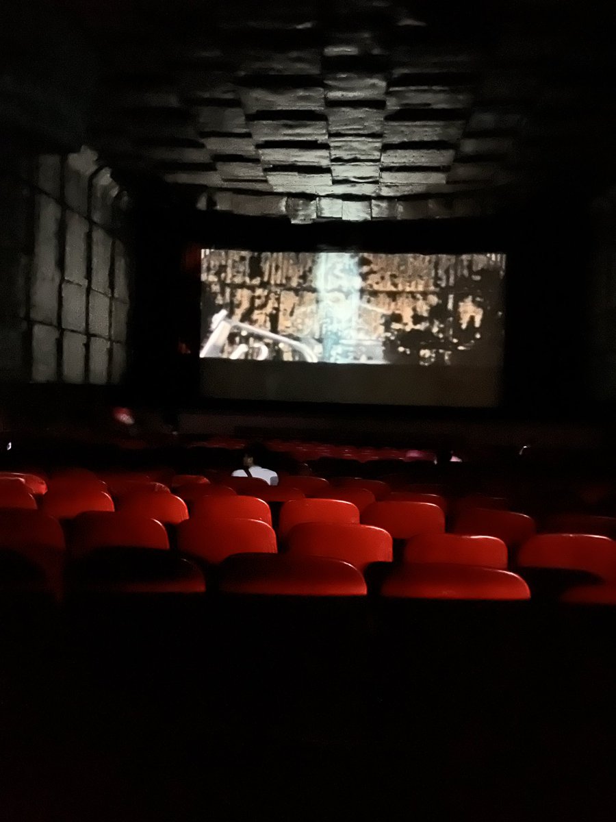 kalamii🐳 tweet media