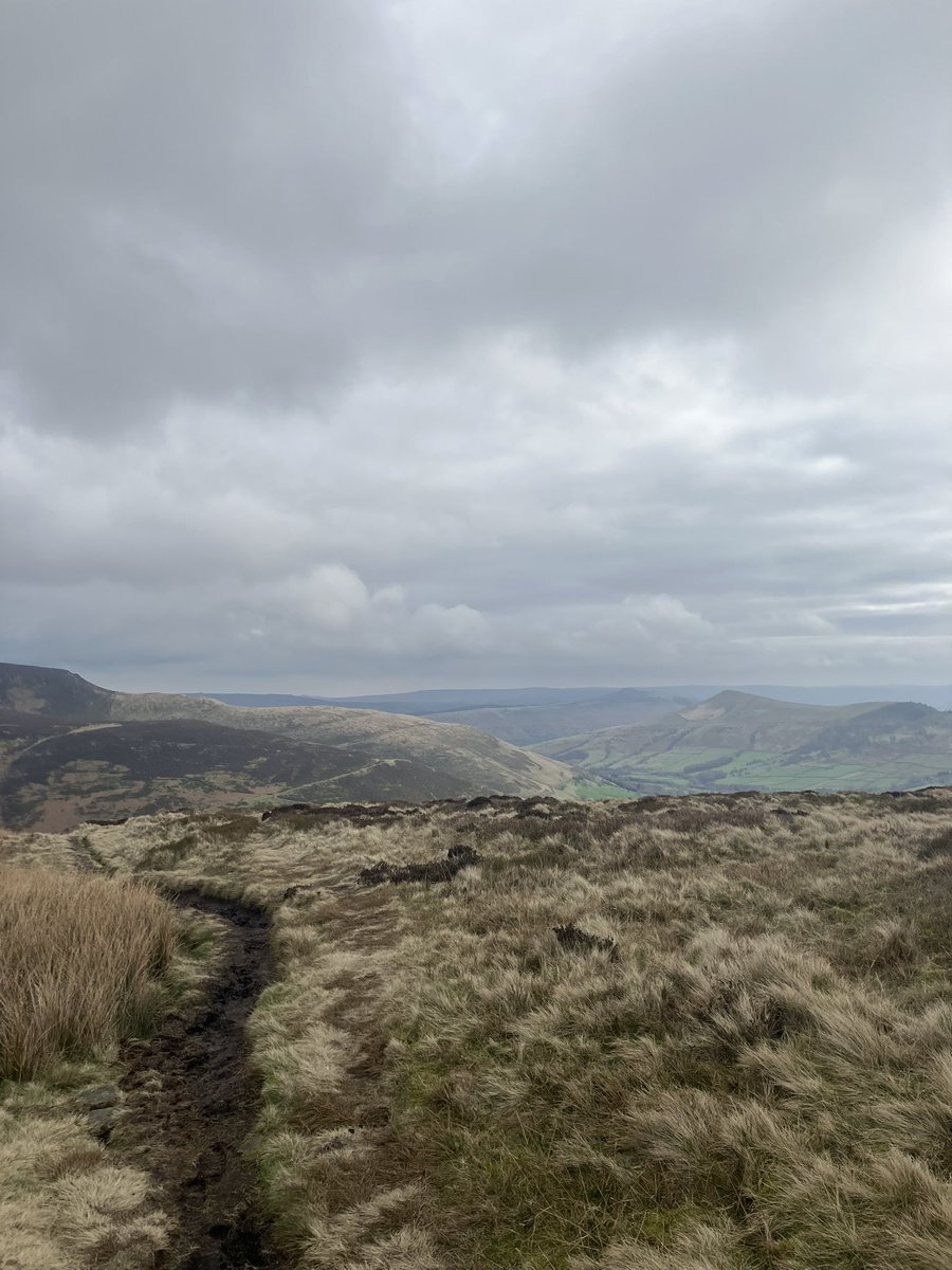 C.J. Lines tweet media