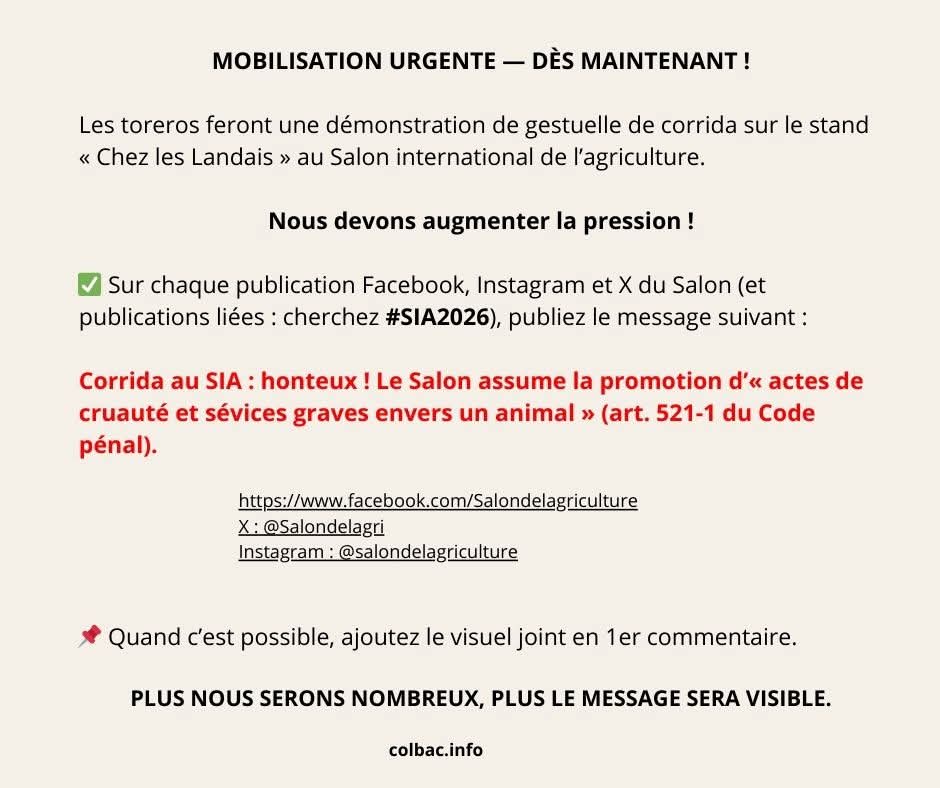 Temple Geinjou tweet media