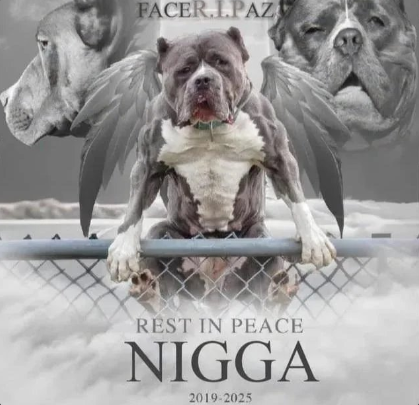 GDXD3000 (@csouls3000) on Twitter photo 