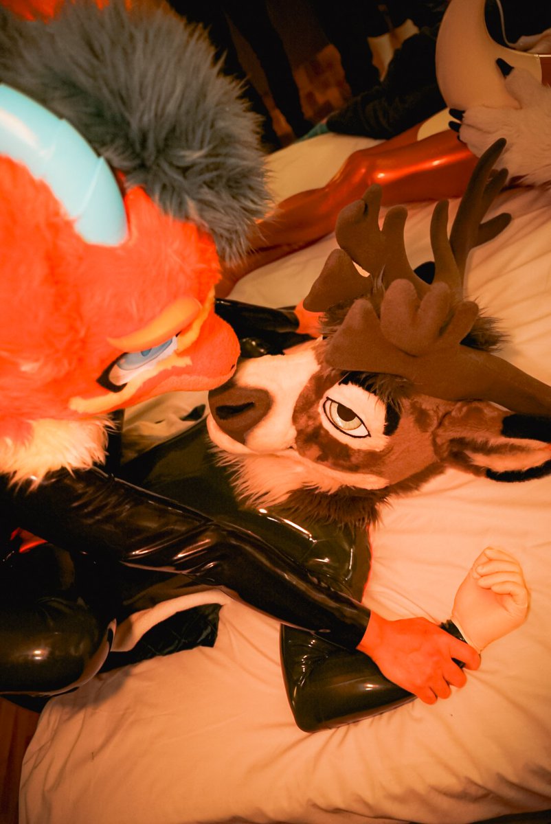 Kaisun (Sean) tweet media