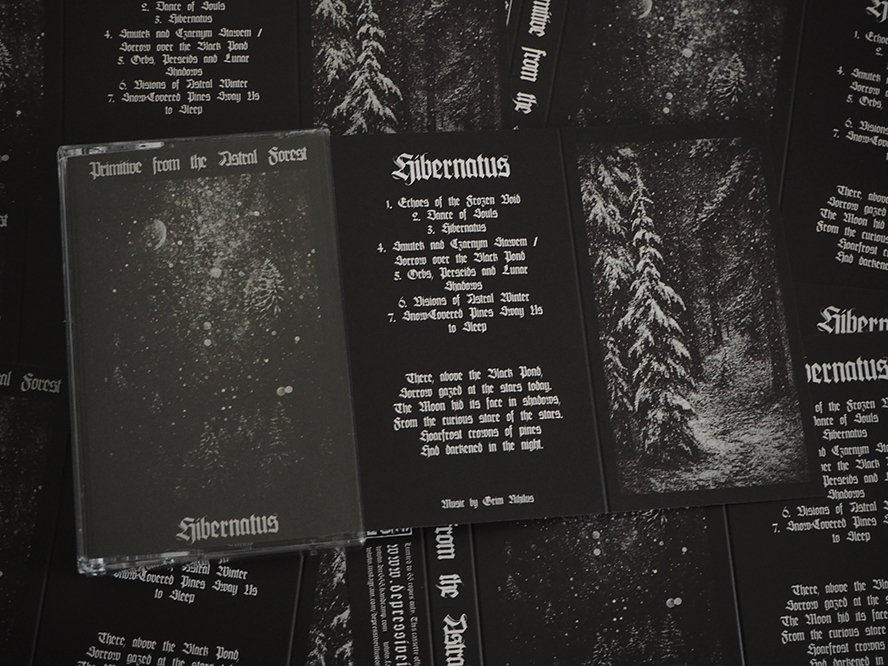 Depressive Illusions Records tweet media