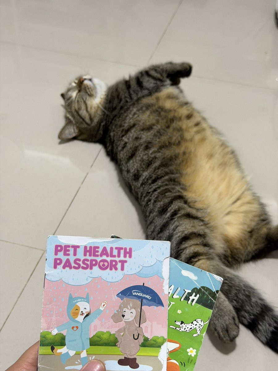 cukup aku aja yang wni, anak-anaku jangan
mari kita usahakan passport kuat wna itu