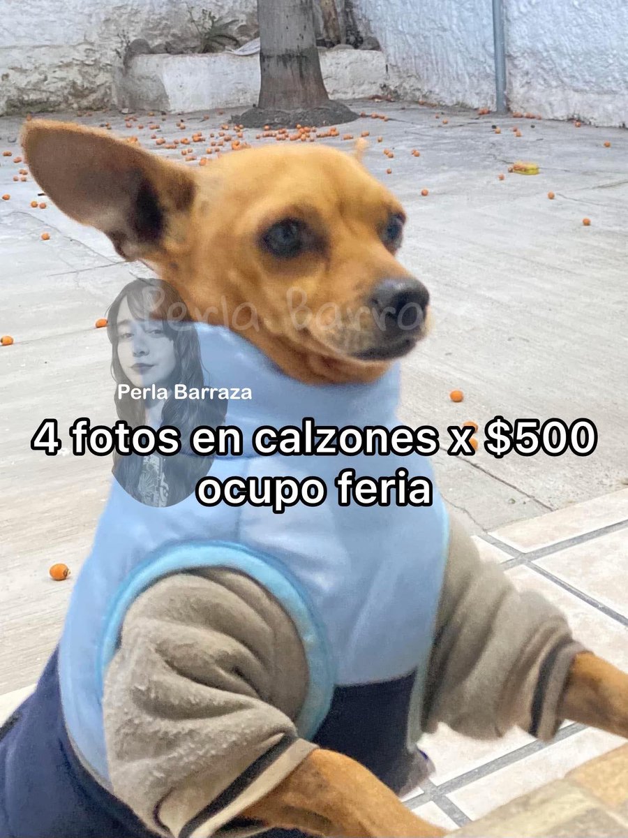 Hector y Areli tweet media