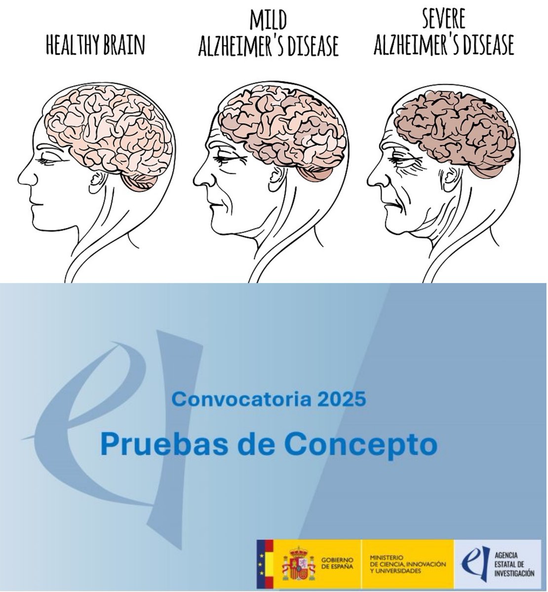 Sauralab tweet media