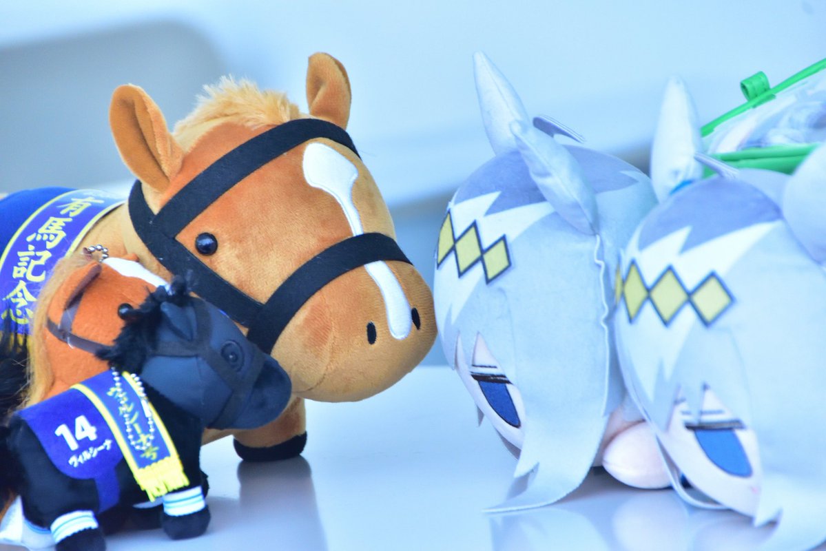 18-200mmのレンズの最大望遠で撮ると ふわっとした感じで色味もいい