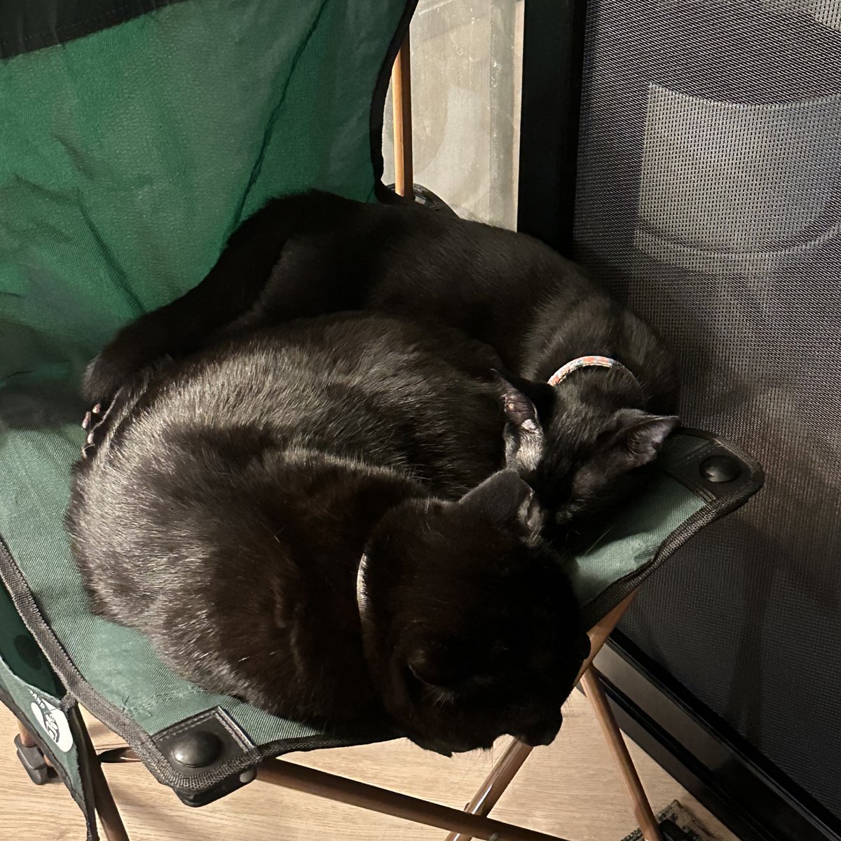 บักนี่จะน่ารัก สงบ แค่ตอนนอนนั้นแหละ