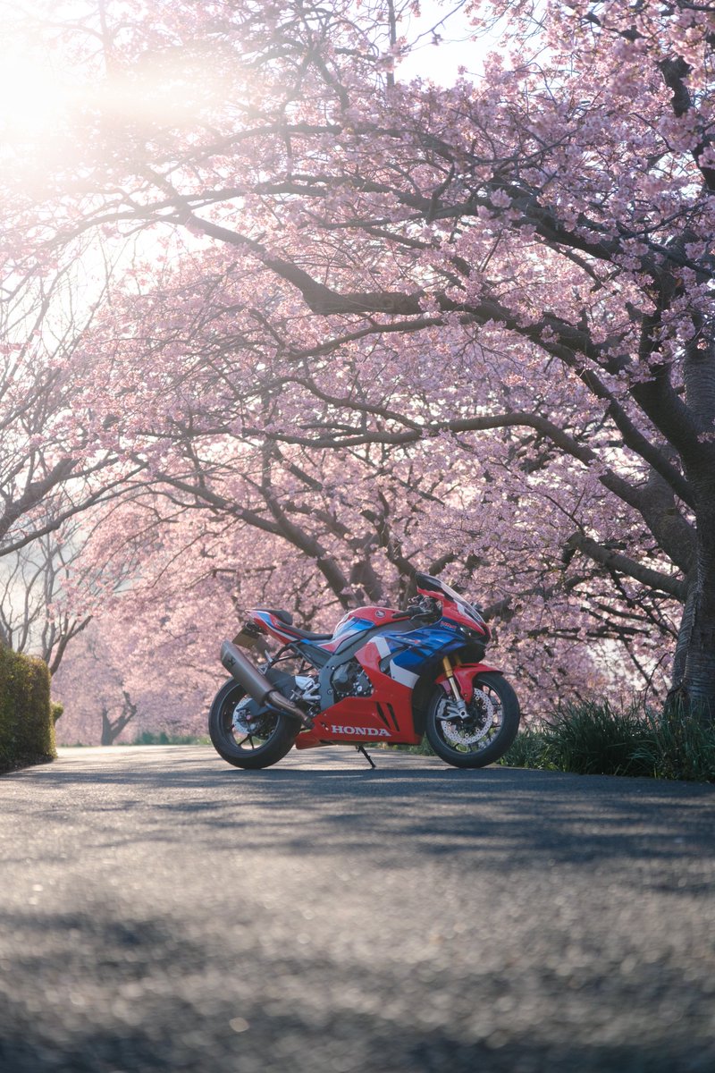 しょーゆ (@636_you) / Posts / X