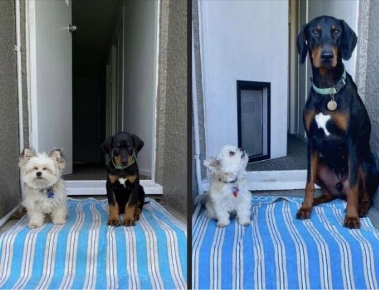 코류랑 켄신 연년생 형제인 거 전 다소 이렇게 보입니다