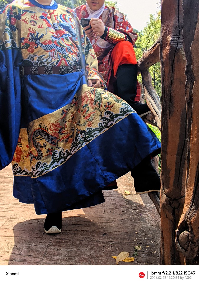 想成为哈基虎 tweet media