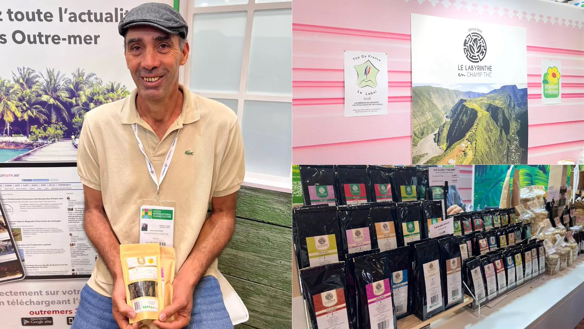#LaRéunion : Le thé réunionnais du Labyrinthe en Champ Thé, premier thé français à obtenir la marque de garantie « #ThédeFrance»

➡️ outremers360.com/bassin-atlanti…

➡️ Longtemps méconnu du grand public, le thé produit à La Réunion, s’impose aujourd’hui comme l’un des visages émergents