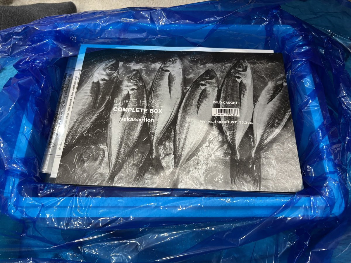 6年ぶりにLIVE FISH開けた🐟 #サカナクション
