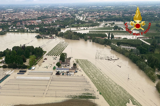 FSC Italia tweet media