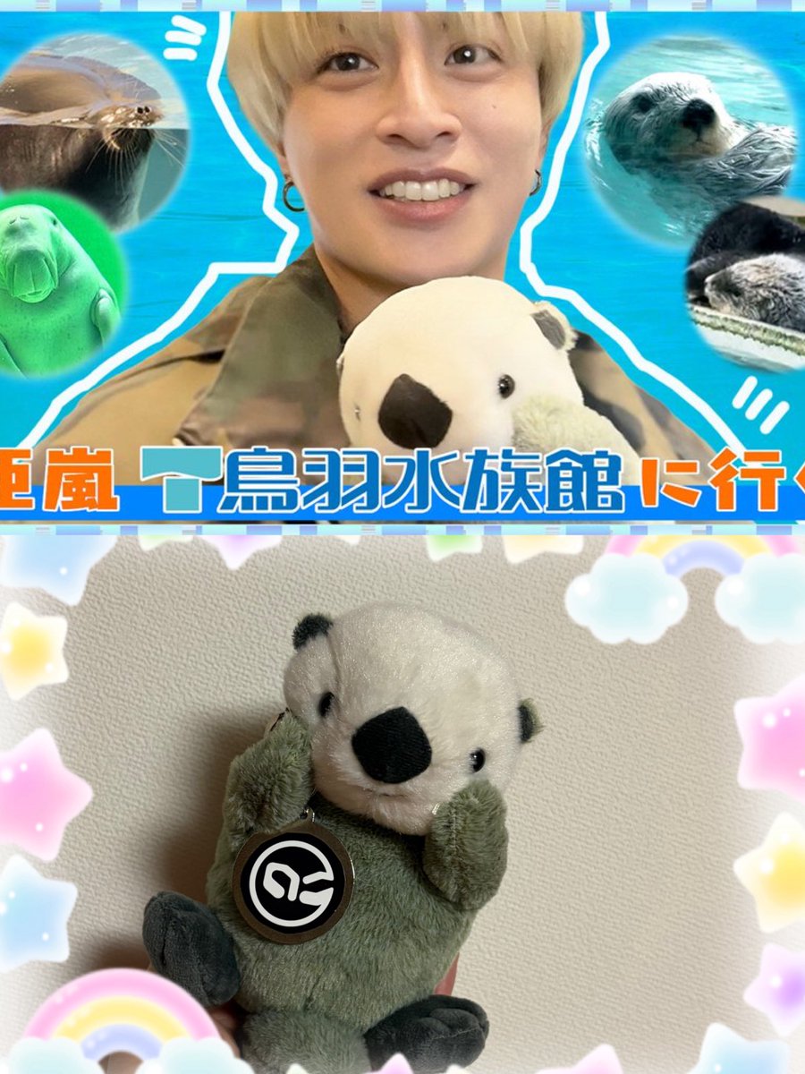 何回見ても楽しくて癒される❤️🦦🦭🐊🐠🐢 リピが止まらないです