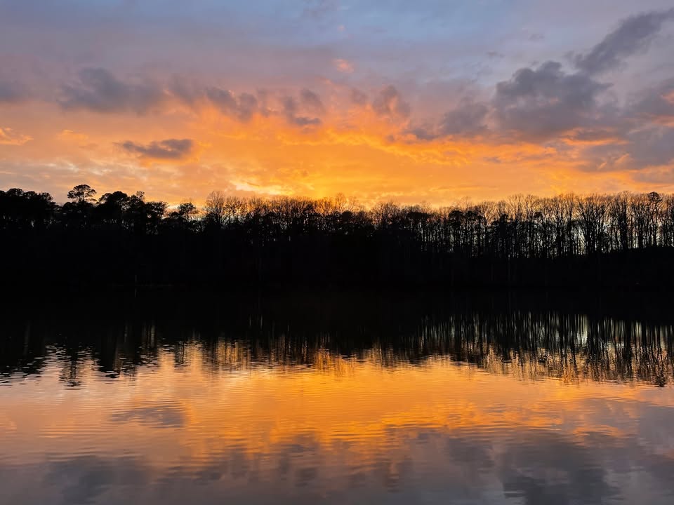 WakeGovParks's tweet photo. Last Sunday's beautiful sunset over the millpond at Historic #YatesMill County Park offered a lovely way to end the day.
#Sunset #NaturePhotography #ScenicViews #EveningSky https://t.co/TEURDlBv9z