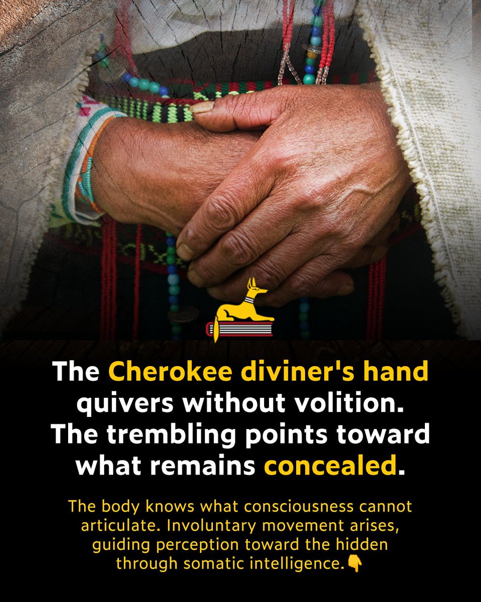 Inner Traditions tweet media