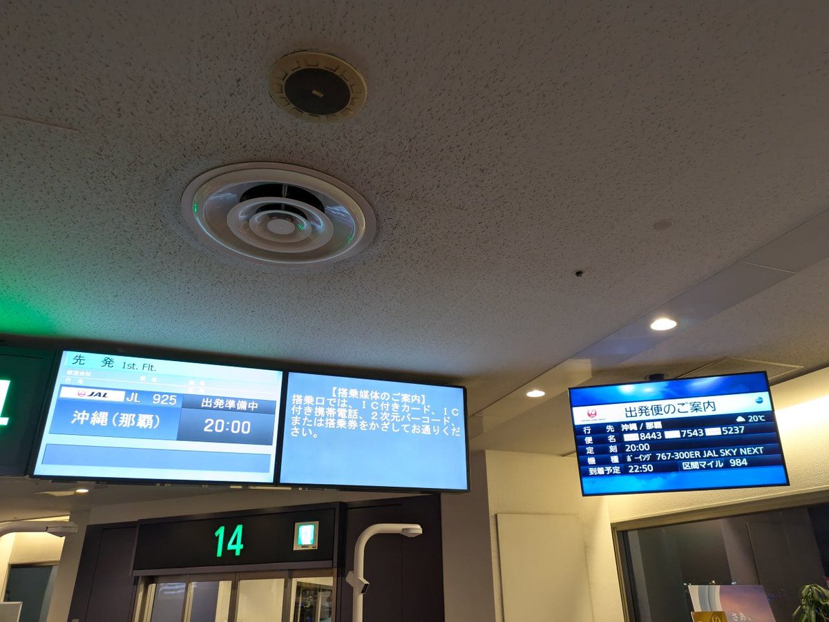 2026年2月25日 便名：JL925便 区間：HND→OKA 機材：Boeing 767-346(ER