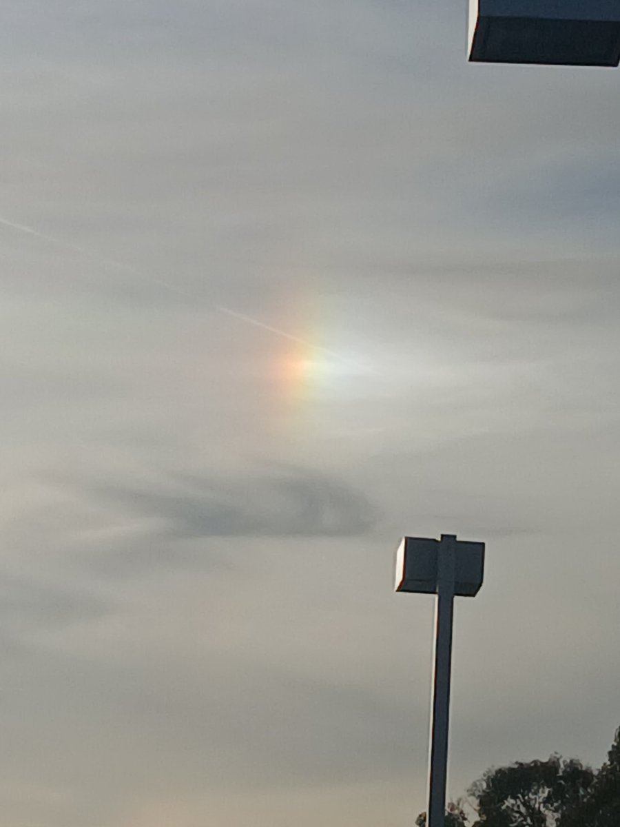 womenshoopsworld tweet media