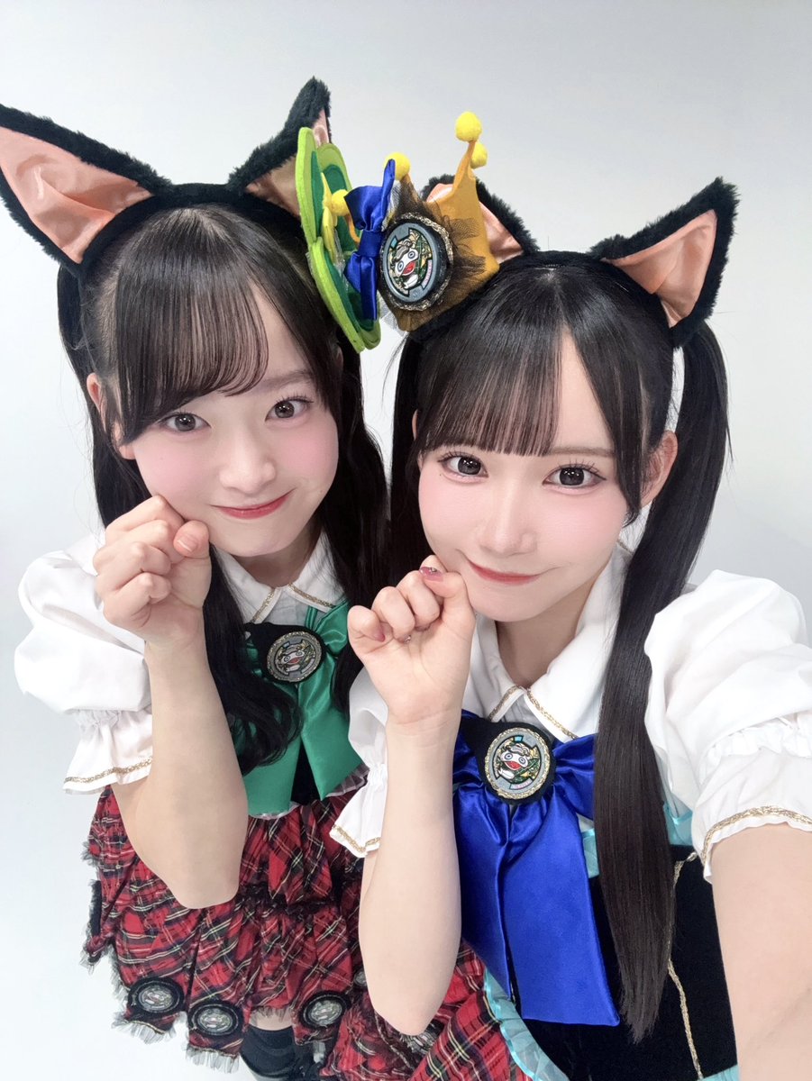 😽😻(初めて見たかのように毎回かわい〜ってなってる