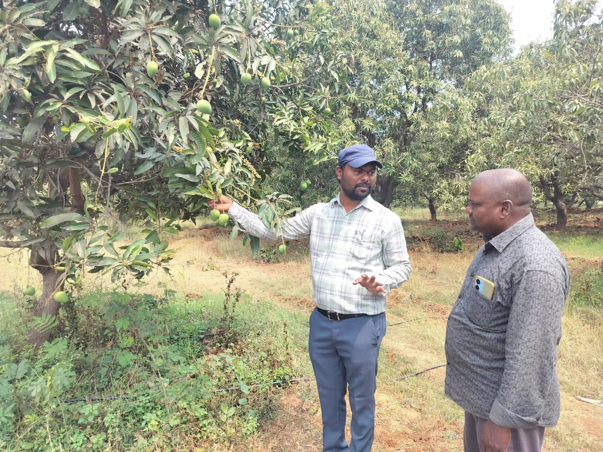 rakeshcherala3's tweet photo. Visited the Different fields and suggested management practices @TummalaOfficial @Collector_WGL https://t.co/LeLEaGPt9u