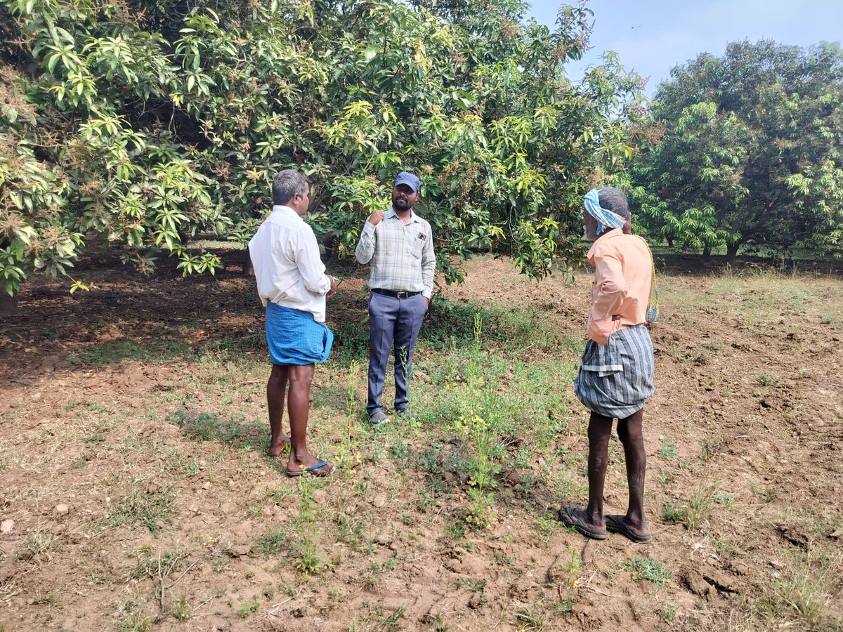 rakeshcherala3's tweet photo. Visited the Different fields and suggested management practices @TummalaOfficial @Collector_WGL https://t.co/LeLEaGPt9u