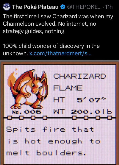 PROGRAMANCER tweet media