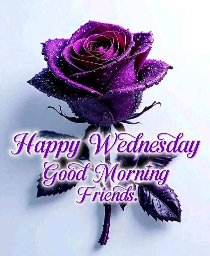 G12Rocco's tweet image. Good Wednesday Morning! Hope you all have a Wonderful Wednesday💙🙏 #wednesdaythought