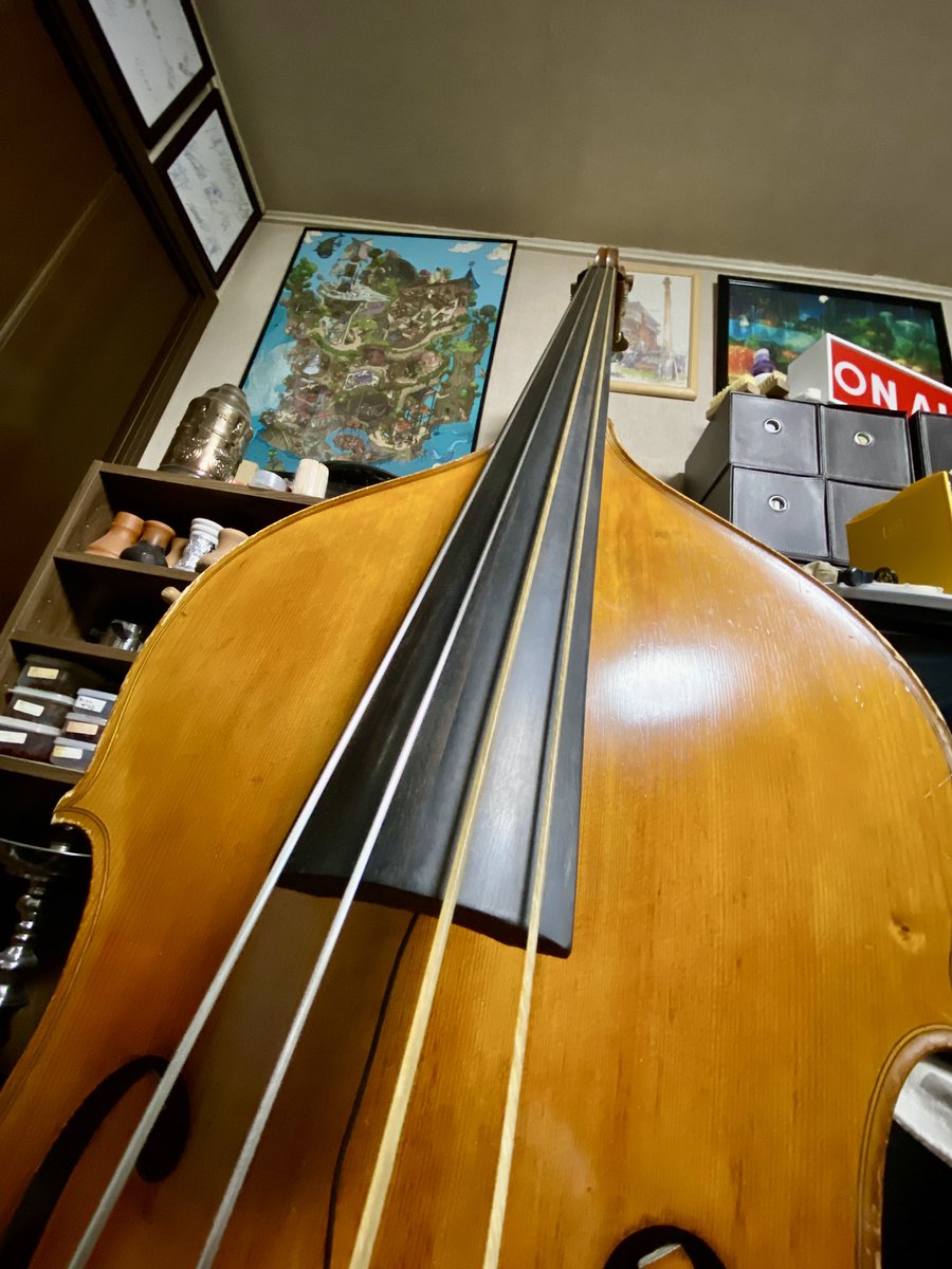 初ガット弦🎻✨ 今まで使ってたオケ向きの弦と感覚全然違うから触って