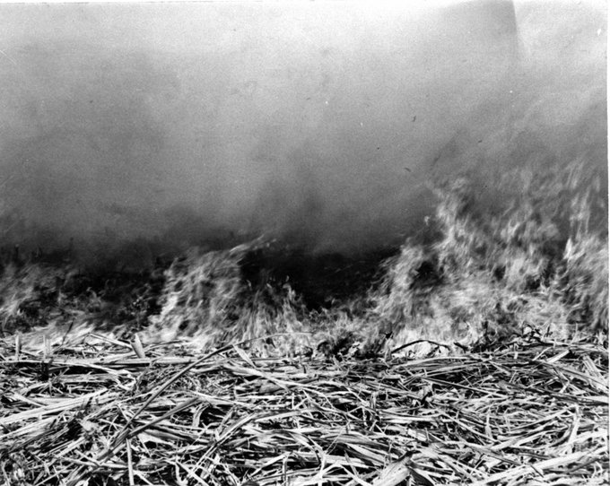 25/feb/1960 En acto terrorista, una avioneta no identificada procedente de EE. UU viola el espacio aéreo de #Cuba y lanza gran cantidad de materiales incendiados sobre los campos de caña del central #Azucareros Araujo (después Reynol García), de la actual provincia de #Matanzas
