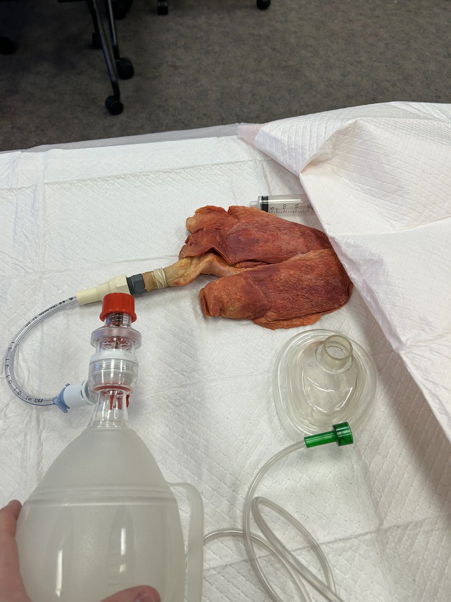 Dr_Fuchs tweet media