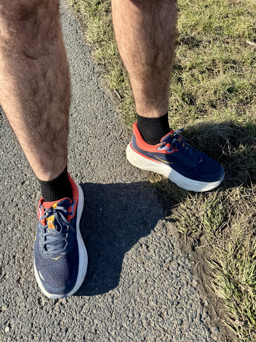 Martin Schovanec tweet media