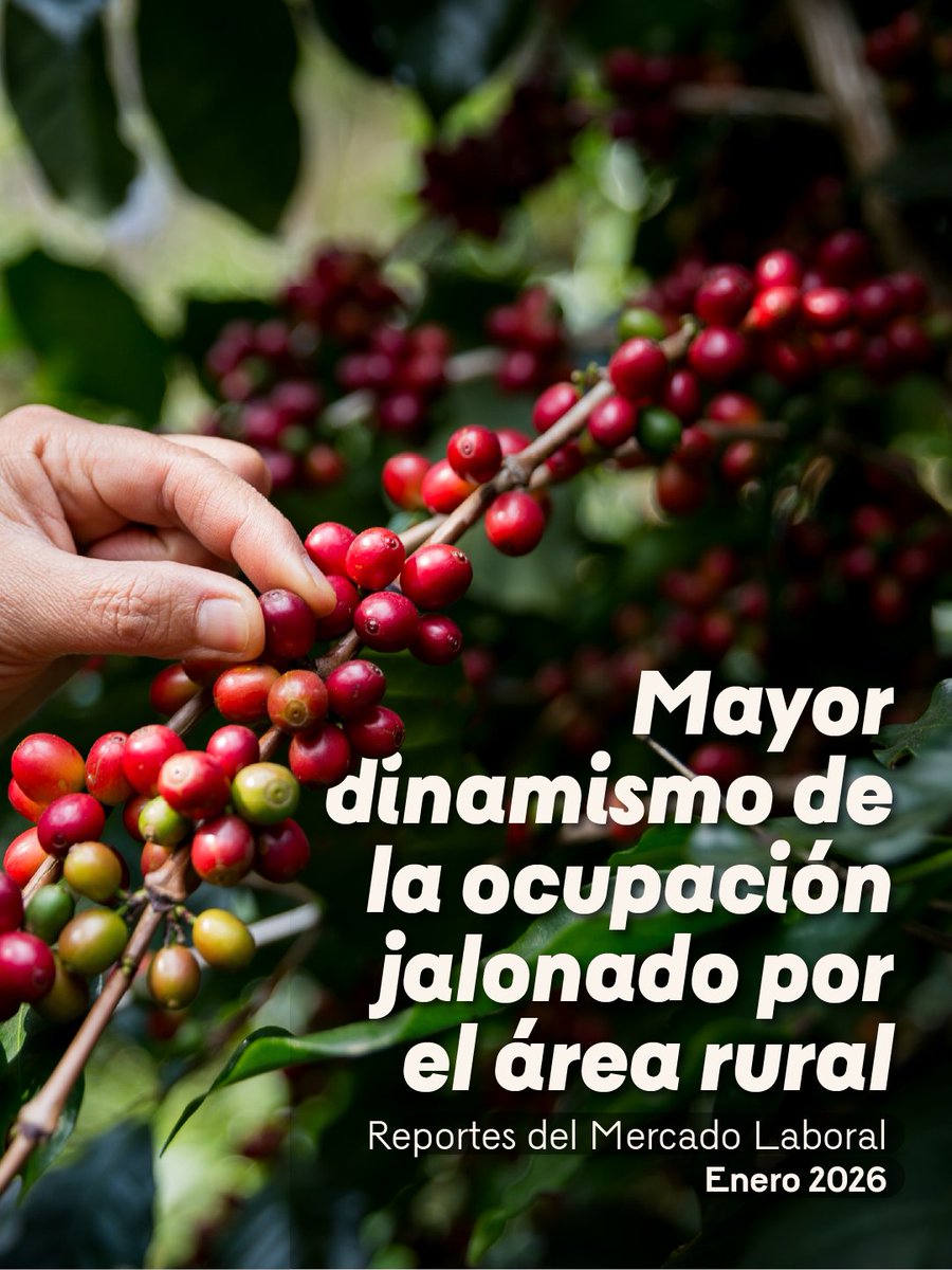 BancoRepublica's tweet image. #MercadoLaboral ¿Cómo se ha comportado el empleo a nivel nacional?  Aquí le contamos 👇  

La serie de Reportes del Mercado Laboral (RML) es una publicación trimestral del Grupo de Análisis del Mercado Laboral (Gamla) del Banco de la República y busca ampliar la discusión y