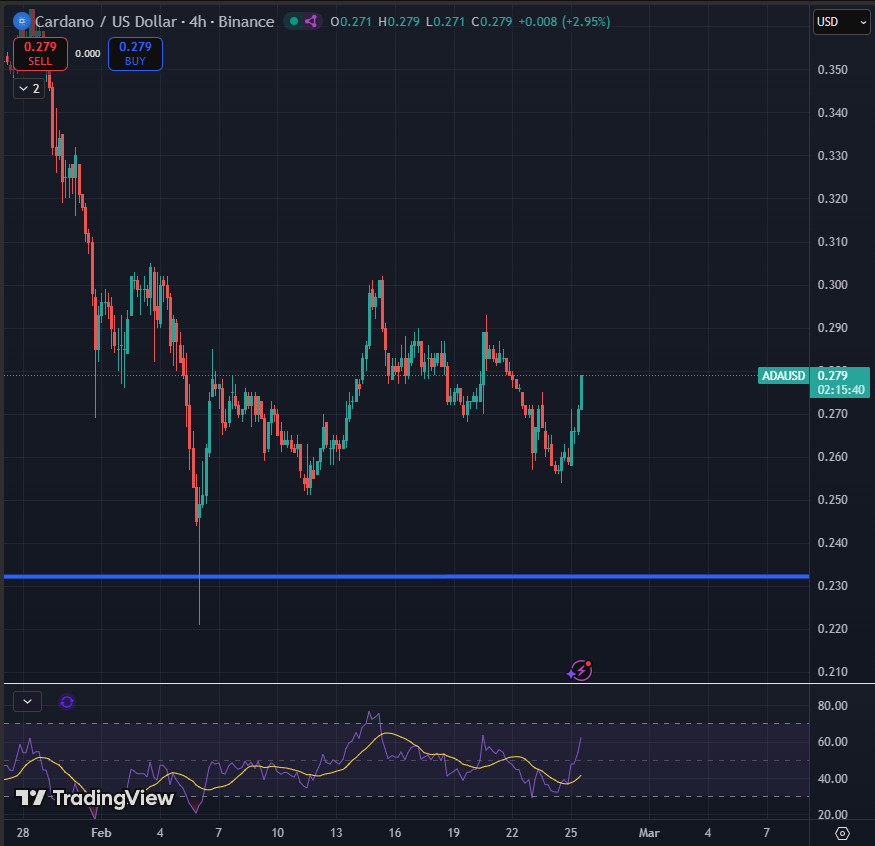 Sssebi🦁 tweet media