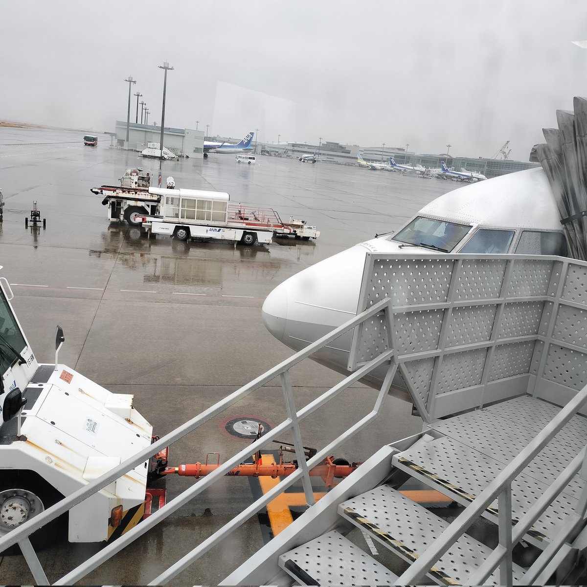 miko_radiant's tweet image. 空港の保安検査場で、#DEXCOMG7 センサーの予備持ち分の目視検査を依頼したら、係員2人でセンサーを持って右往左往。
最後は「箱を開けて中身を確認します」と。
中のアプリケーターの蓋も開けてと言われさすがにそれは断ったけど💦
検査通過に時間がかかるなんて思わなかったよ…。
#1型糖尿病 #IDDM