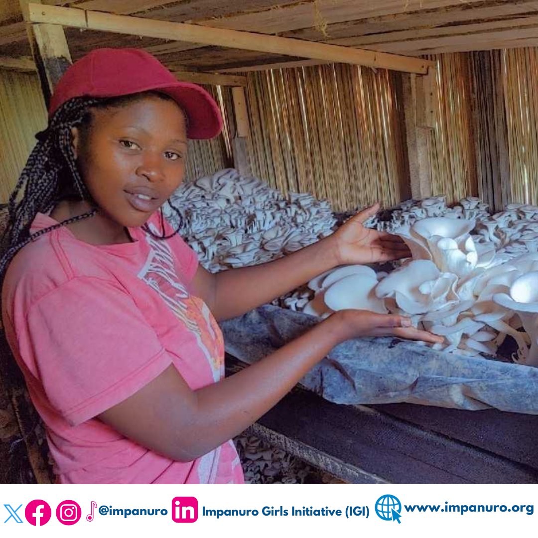 impanuro's tweet photo. Today we are celebrating growth and progress with one of the SMEs in our Hinga Ubukungu project with @KvinnaKvinnaINT  , Turashoboye Cooperative!

This week, we visited the Cooperative to review how they are using the donation and track their progress in mushroom production. https://t.co/XkYA0W0UZq