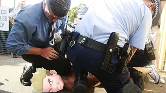 Pokémon Rebirth tweet media