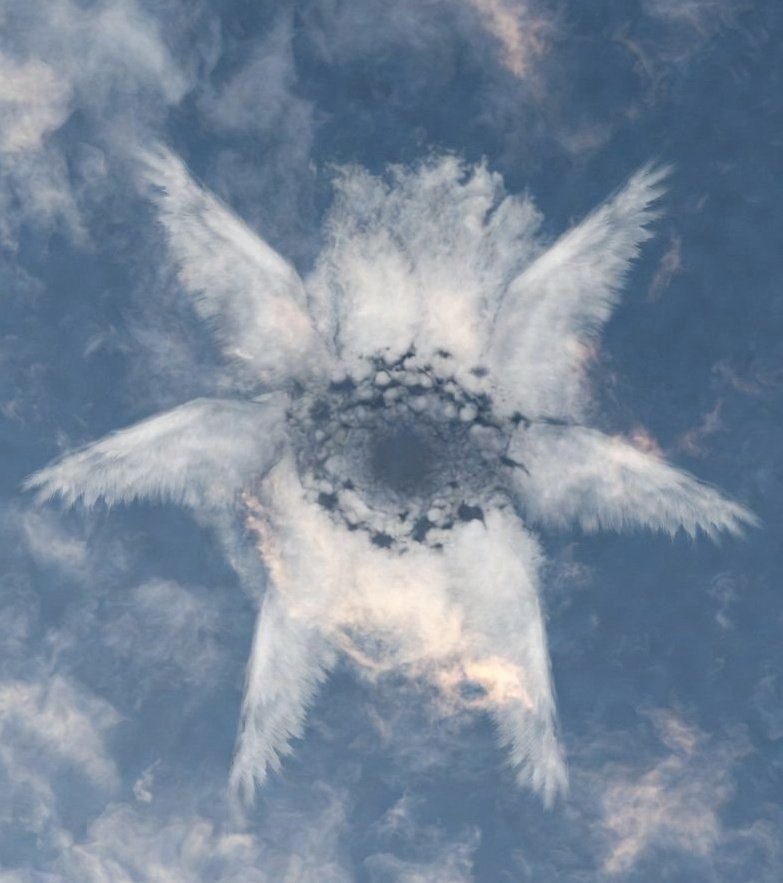 DEGENETICS (@epykur_degen) on Twitter photo 