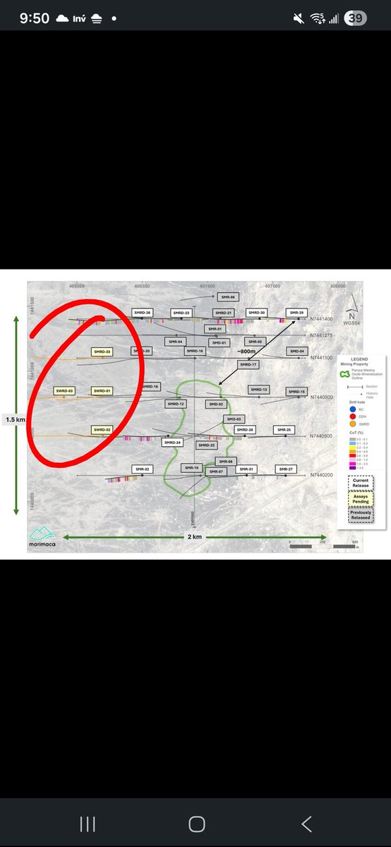 David Muscat tweet media