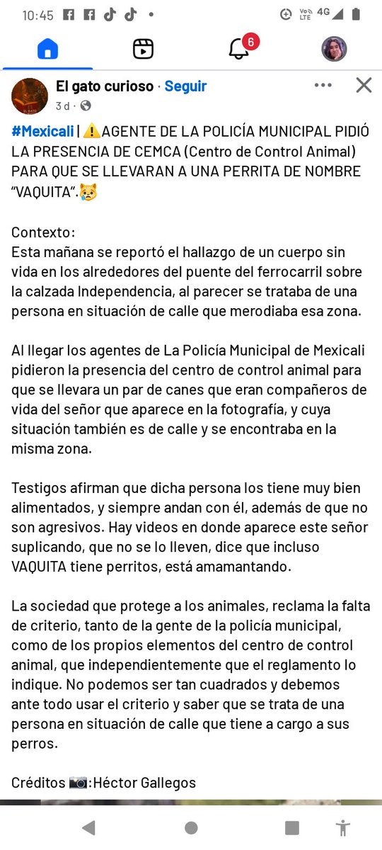 Leer devuelva sus perritos señor son única familia están bien cuidados queríamos que ayuden señor igual necesita ayuda suplicaba rodillas que no le quitaran lo único lo que tenía solo quería que estuvieran bien y pedía alimento solo le importaba de que ellos estuvieran protegidos