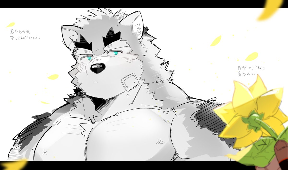 みきてゃ tweet media