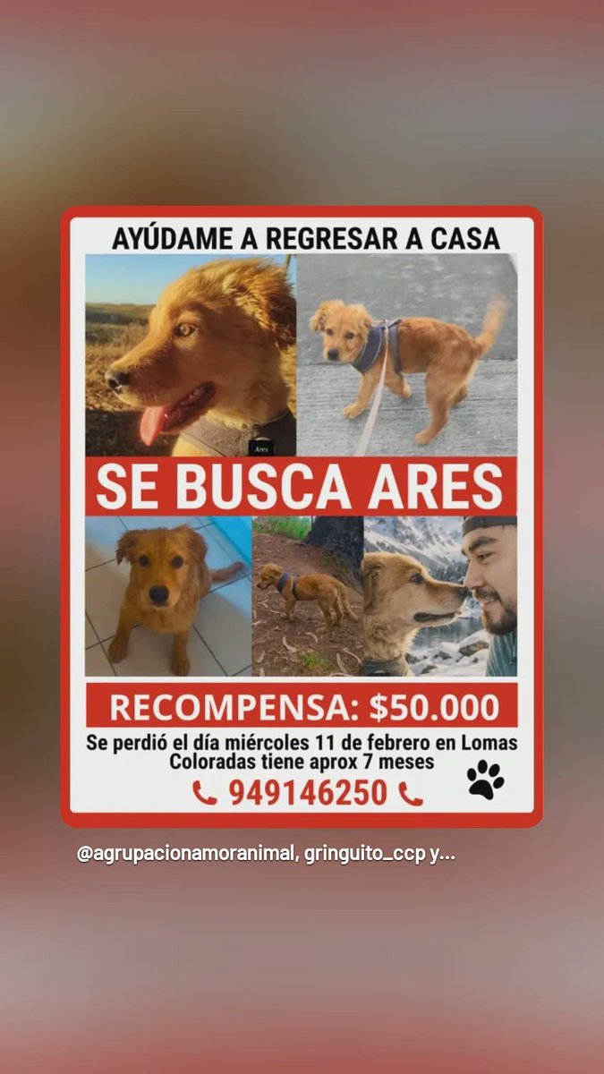 Patty Andrea (@andreediita28) on Twitter photo 