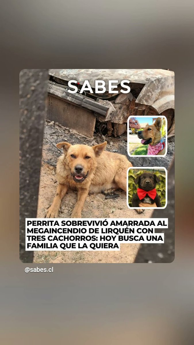 Patty Andrea (@andreediita28) on Twitter photo 