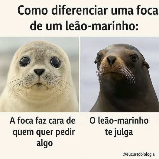 JaulaHub (@jaulahub) on Twitter photo 