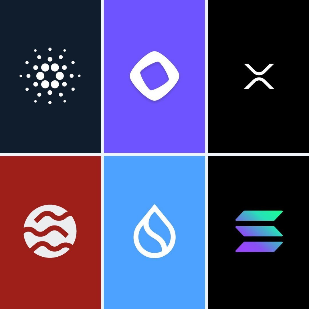Sui Insiders💧 tweet media