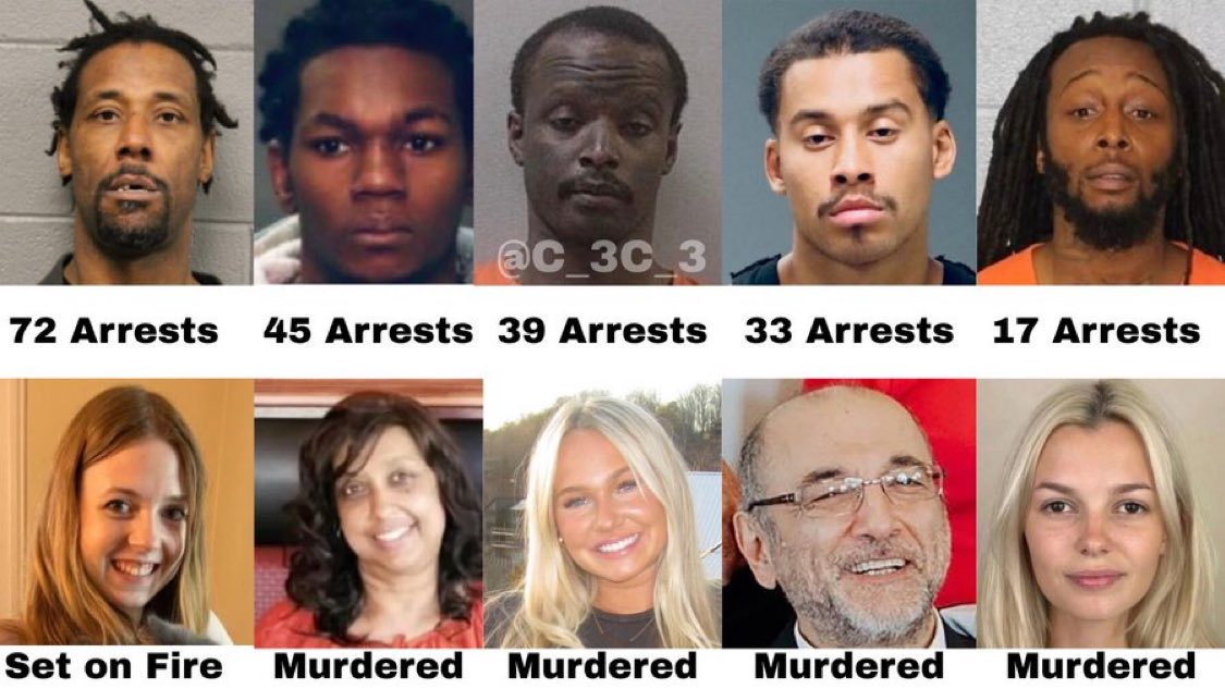 Dems did this…

Lawrence Reed
72 arrests
Burned Bethany McGee

Timothy Bohler
45 arrests
Killed Lelawattie Narine

Alexander Dicky
39 arrests
Killed Logan Frederico

David Mazariegos
33 arrests 
Killed Nicola Tanzi

Decarlos Brown
14 arrests
Killed Iryna Zarutska

Never Forget.