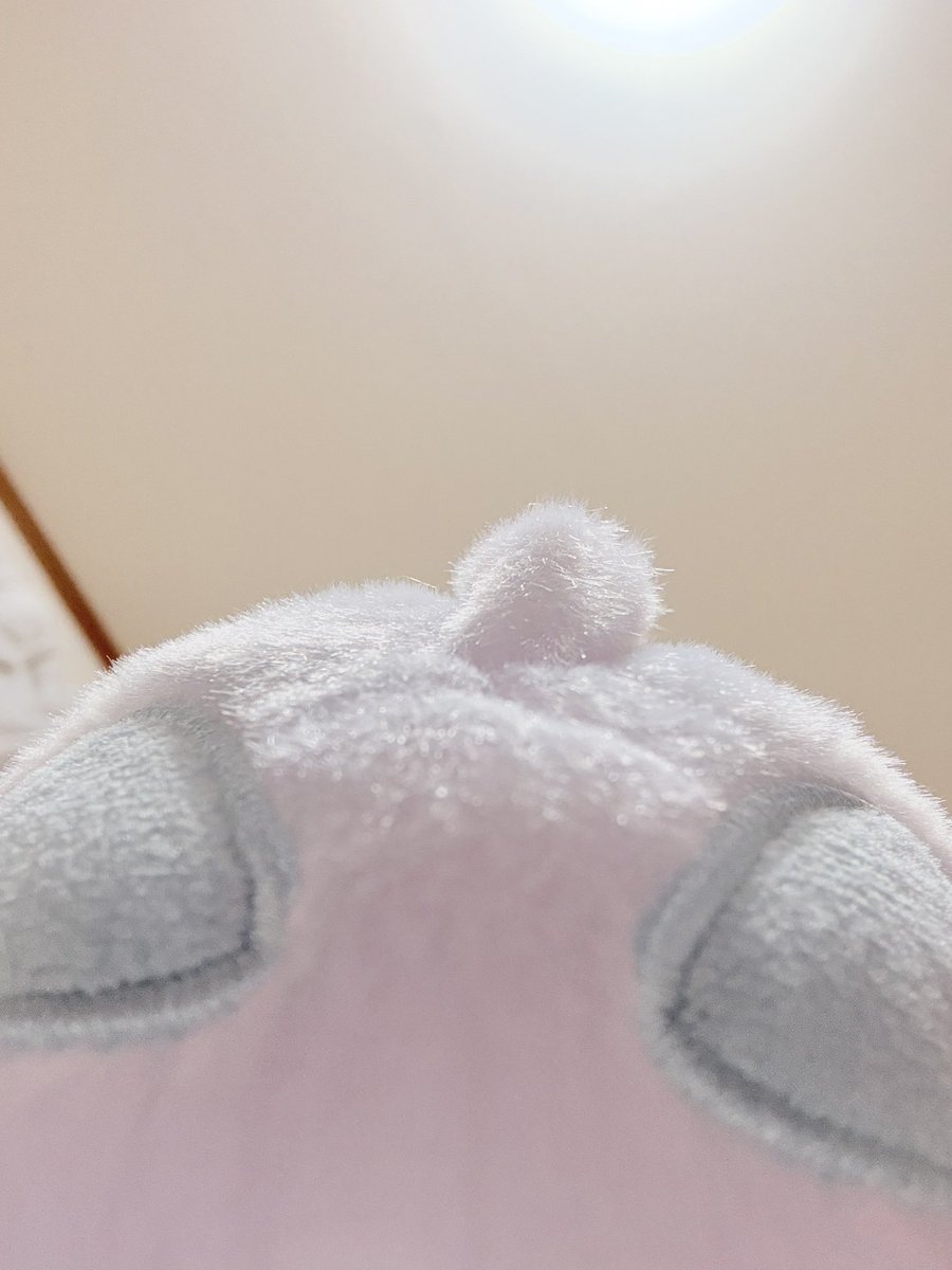 Post by ちまき。 on X: ？？？？？